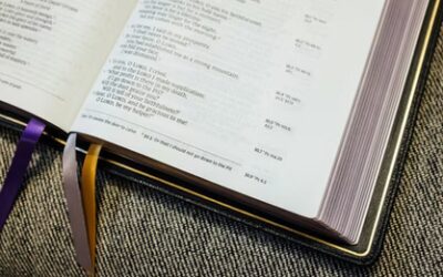 Resumen Pedagogico De La Serie Los Primeros Principios.